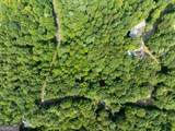 LOT 272 Seneca Drive - Photo 12