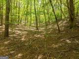 LOT 272 Seneca Drive - Photo 6