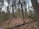17.29 AC Pleasant Oak Trail - Photo 3