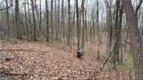 17.29 AC Pleasant Oak Trail - Photo 4