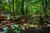 132 Hines Road - Photo 17