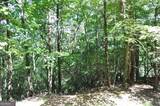 64 Wrens Nest - Photo 12