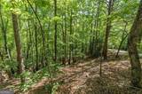 64 Wrens Nest - Photo 17