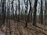 0 Burnt Mountain Ridge Road - Photo 11