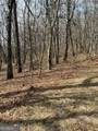 0 Burnt Mountain Ridge Road - Photo 3