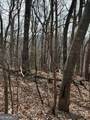 0 Burnt Mountain Ridge Road - Photo 5