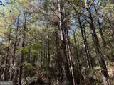 008 Sealy Wells Road - Photo 10