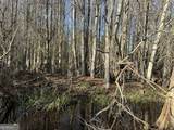 008 Sealy Wells Road - Photo 3