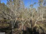 008 Sealy Wells Road - Photo 4