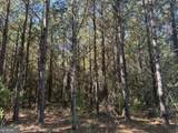 008 Sealy Wells Road - Photo 9