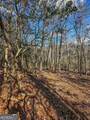 0 Ts Jarrard Road - Photo 19