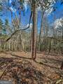 0 Ts Jarrard Road - Photo 5