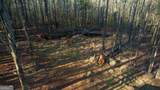 2229 Mcdaniel Mill Road - Photo 37