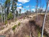 LOT 253 High River Crossing - Photo 8