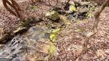 8072 Doublehead Gap Road - Photo 24