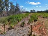 155 Shallow Water Trail - Photo 4