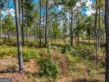 405 White Oak Cove - Photo 14