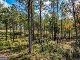 405 White Oak Cove - Photo 15
