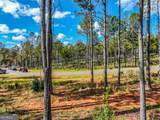 405 White Oak Cove - Photo 17