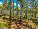 405 White Oak Cove - Photo 18