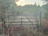 0 Plantation Road - Photo 31