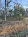 0 River Ridge Trail - Photo 3