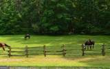 6X Laurelwood - Photo 16