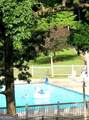 6X Laurelwood - Photo 33