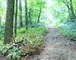 6X Laurelwood - Photo 40