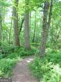 6X Laurelwood - Photo 43