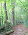 6X Laurelwood - Photo 44
