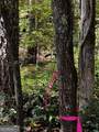 6X Laurelwood - Photo 46