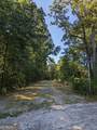 LOT 1 Joe Roberts Road - Photo 3