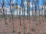 LT 14R Tanager Trail - Photo 11