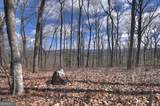 LT 14R Tanager Trail - Photo 12