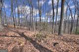 LT 14R Tanager Trail - Photo 14