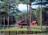 LT 14R Tanager Trail - Photo 28