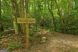 LT 14R Tanager Trail - Photo 43