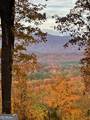 LT 14R Tanager Trail - Photo 5