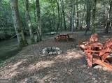 LT 14R Tanager Trail - Photo 61