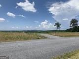 345 Twisted Oak Road - Photo 4