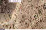 345 Twisted Oak Road - Photo 8