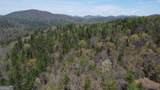 9 Blackbear Mountain Trail - Photo 104