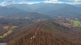 279 Collins Creek Road - Photo 42