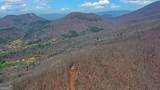 279 Collins Creek Road - Photo 46