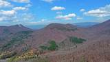 279 Collins Creek Road - Photo 48