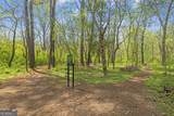 1620 Anita Place - Photo 41