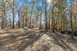 339 Hickory Ridge Drive - Photo 46