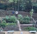 127 Stargaze Ridge - Photo 19