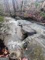100 Buckwood Farms Path - Photo 100